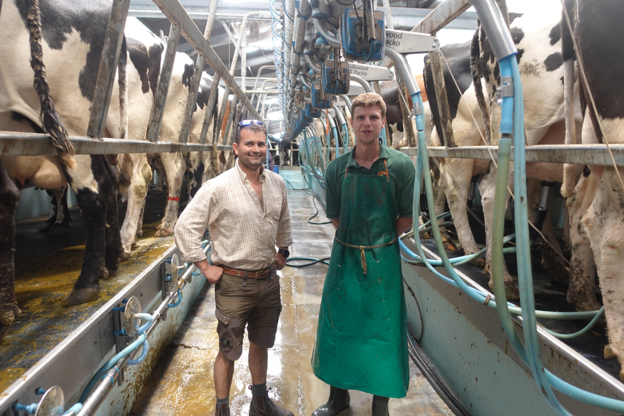 Tom and Dan case study