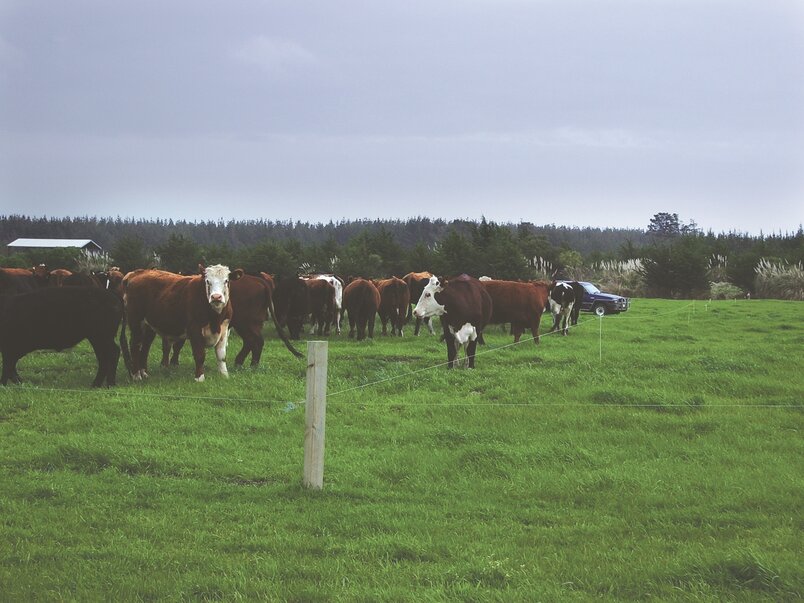 Equipment Highlights Best Genetics Case Study