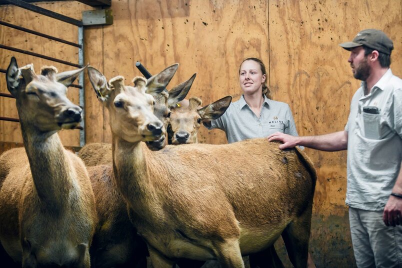 Tom & Sam with Deer