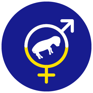 Product icon - Reproduction