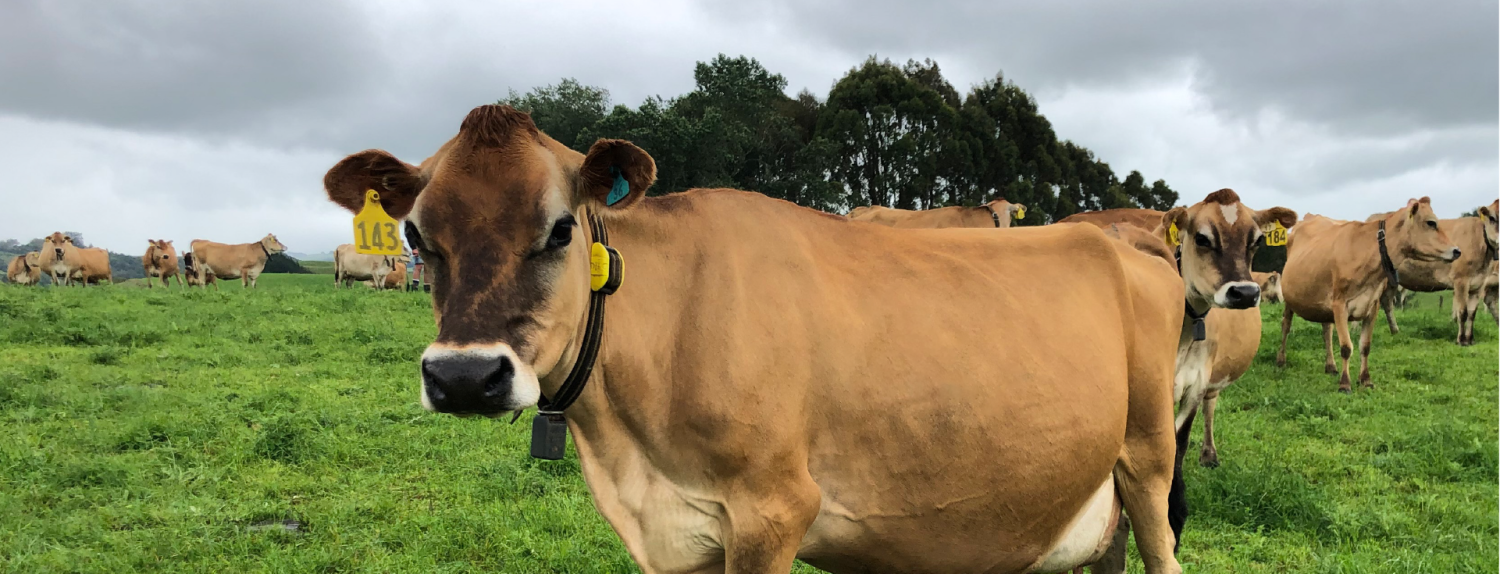 Heath & health monitoring you can trust Homepage Banner